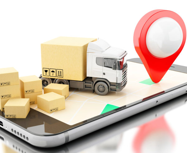 E-commerce Logístico: Hacia La Era Digital - Logistica Flexible